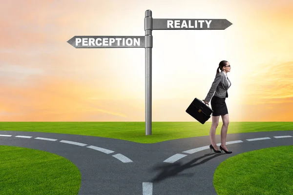 Concept Choosing Perception Reality — Stock Photo, Image