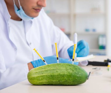 Erkek beslenme uzmanı laboratuarda sebzeleri test ediyor.