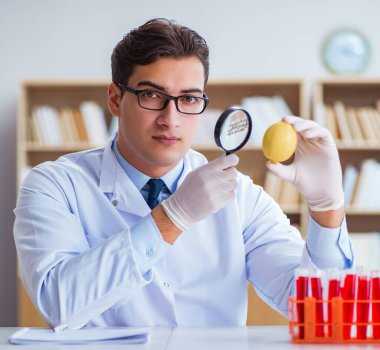 Bilim adamı organik meyve ve sebzeler üzerinde çalışıyor.