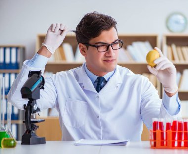 Bilim adamı organik meyve ve sebzeler üzerinde çalışıyor.