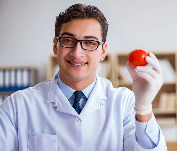 Scienziato Che Lavora Frutta Verdura Biologica — Foto Stock