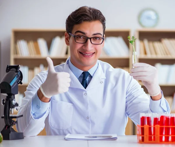 Bioteknikforskaren Som Arbetar Labbet — Stockfoto