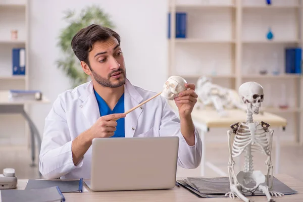 Νεαρός Άνδρας Γιατρός Που Μελετά Ανθρώπινο Σκελετό Στην Κλινική — Φωτογραφία Αρχείου