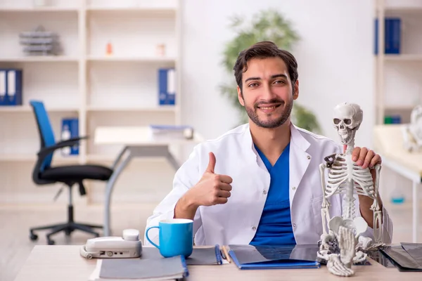 Jovem Médico Sexo Masculino Estudando Esqueleto Humano Clínica — Fotografia de Stock