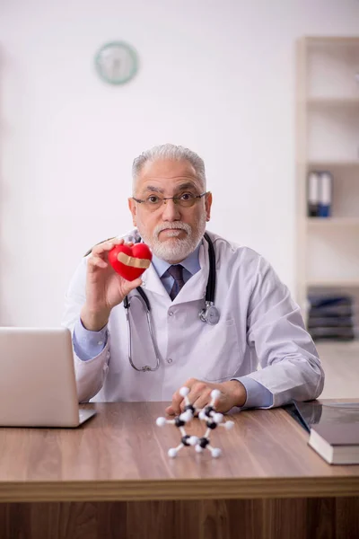 Old Cardiologist Holding Heart Model — Stock Photo, Image