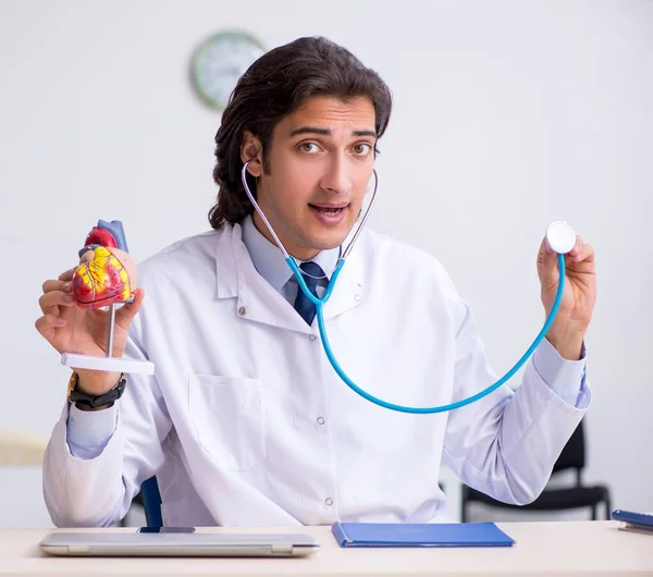 Młody Lekarz Kardiolog Modelem Serca — Zdjęcie stockowe