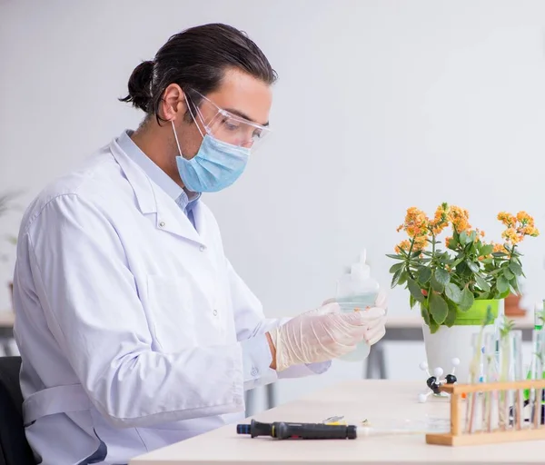 Young Male Chemist Working Lab — Stock Photo, Image