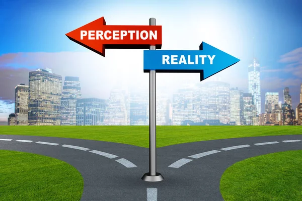 Concept Choosing Perception Reality — Stock Photo, Image
