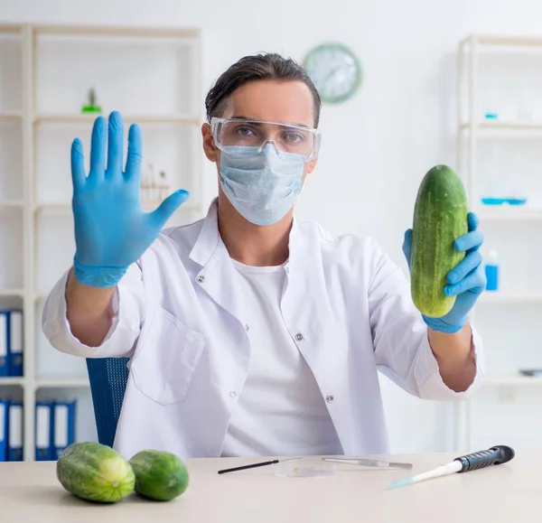 实验室里检测蔬菜的男性营养专家 — 图库照片