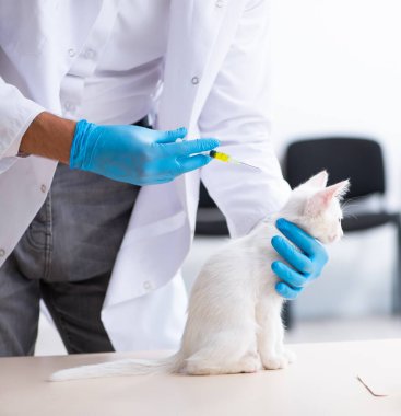 Genç erkek doktor hasta kediyi muayene ediyor.