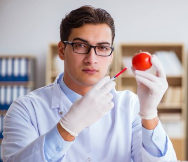 Bilim adamı organik meyve ve sebzeler üzerinde çalışıyor.