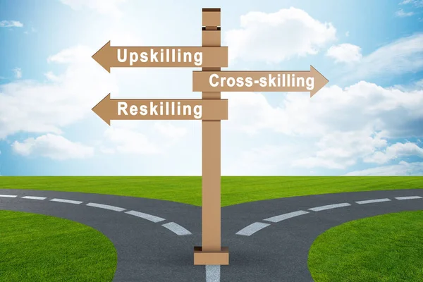 Crossroads Choosing Skilling Skilling — Stok fotoğraf