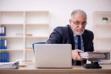 Old employee working at workplace
