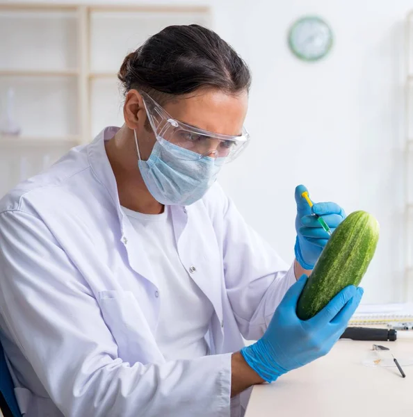 Experto Nutrición Masculina Prueba Verduras Laboratorio — Foto de Stock