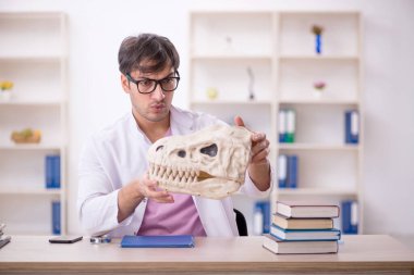 Genç paleontolog laboratuvarda antik hayvanları inceliyor.