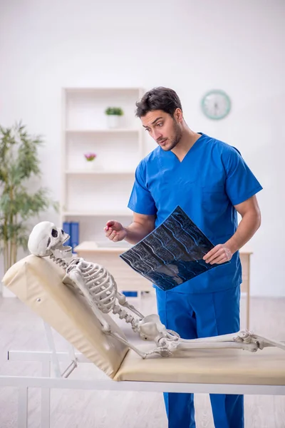 Young Doctor Radiologist Skeleton Patient Clinic — Stock Photo, Image