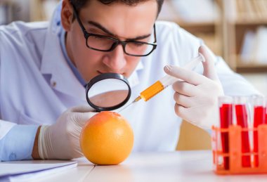 Bilim adamı organik meyve ve sebzeler üzerinde çalışıyor.