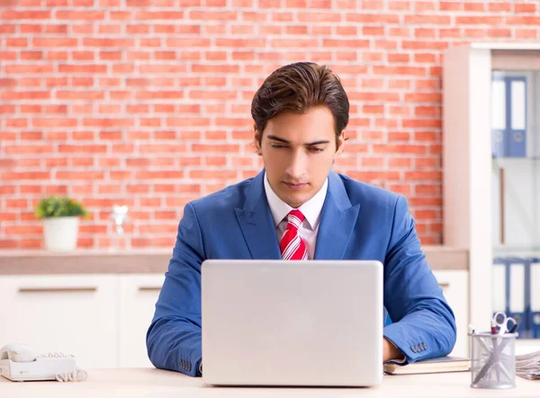Young Handsome Employee Working Office — Stock Photo, Image