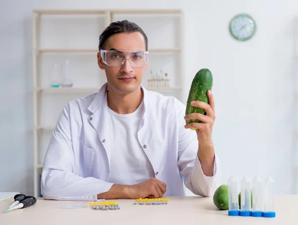 Expert Nutrition Masculine Teste Les Légumes Laboratoire — Photo