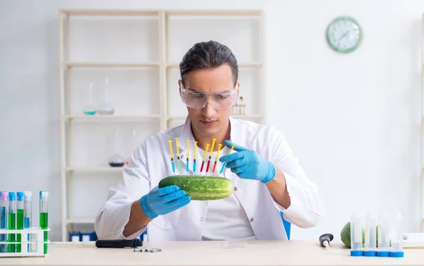 Der Männliche Ernährungsexperte Testet Gemüse Labor — Stockfoto