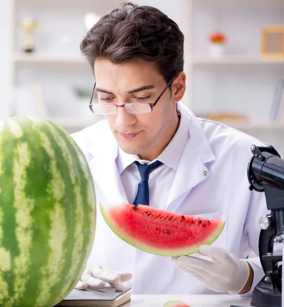 Wetenschapper Test Watermeloen Het Lab — Stockfoto