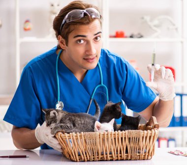 Veteriner doktor hayvan hastanesinde kedi yavrularını muayene ediyor.