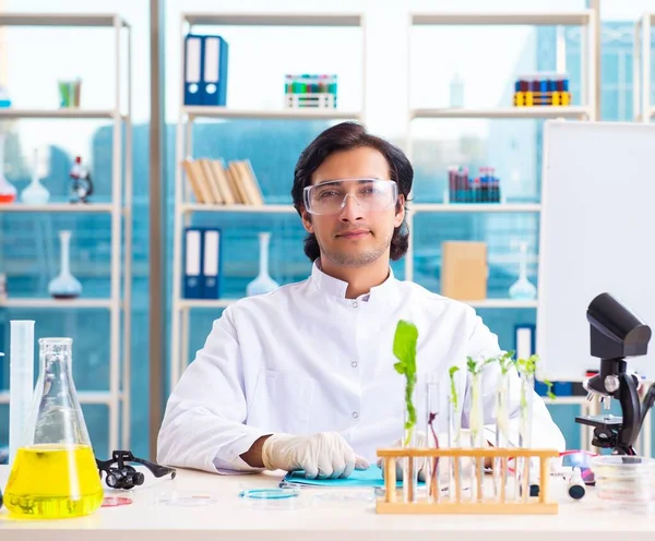Científico Químico Biotecnología Masculino Que Trabaja Laboratorio — Foto de Stock