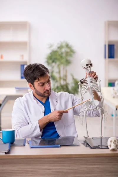 Junger Arzt Untersucht Menschliches Skelett Der Klinik — Stockfoto