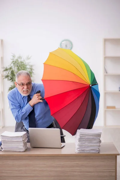 Old Employee Holding Umbrella Workplace — Zdjęcie stockowe