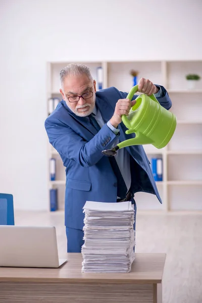古いビジネスマンの従業員は紙に水をやる — ストック写真