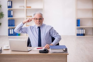 Old employee working at workplace