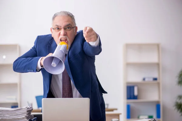 Old Employee Holding Megaphone Office — Foto Stock