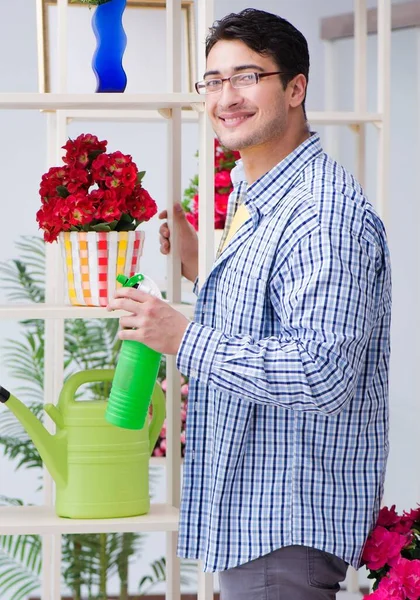 园丁花匠与室内植物一起在花店工作 — 图库照片