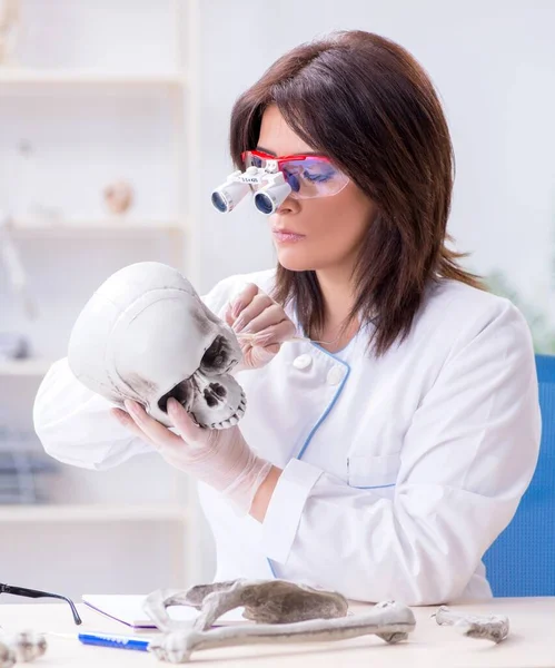 Dokter Die Het Lab Aan Skelet Werkt — Stockfoto