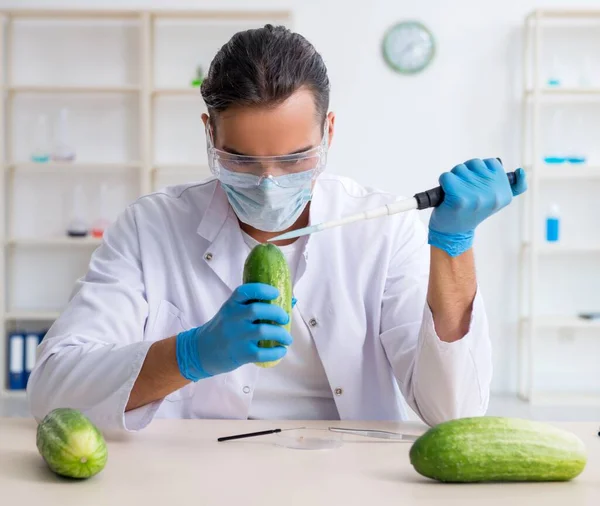 Mannelijke Voedingsdeskundige Die Groenten Test Het Lab — Stockfoto