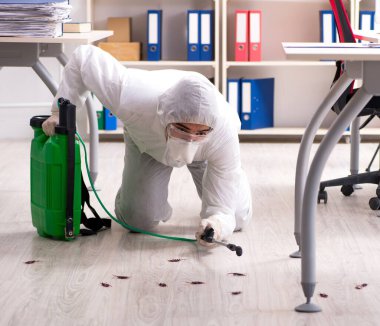 Ofiste haşere kontrolü yapan profesyonel müteahhit.