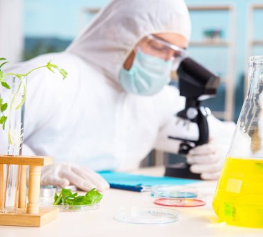 Laboratuvarda çalışan erkek biyoteknoloji bilim adamı kimyager.