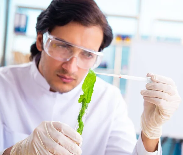 Mužský Biotechnologický Vědec Chemik Pracující Laboratoři — Stock fotografie
