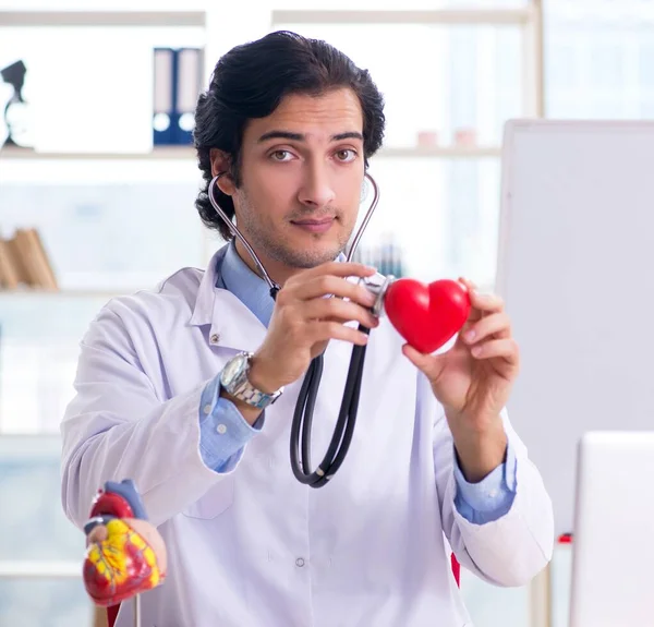 Jovem Cardiologista Médico Bonito Frente Quadro Branco — Fotografia de Stock