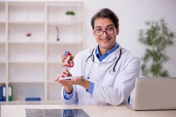 Young Male Doctor Cardiologist Working Clinic — Stock Photo, Image