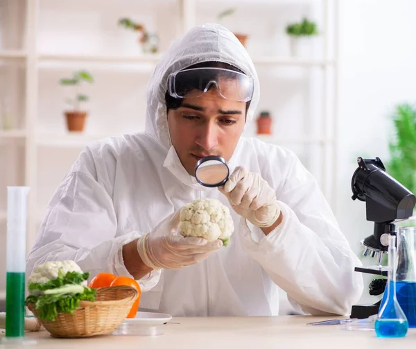 Científico Que Trabaja Laboratorio Gmo Frutas Verduras — Foto de Stock