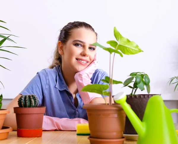 Den Unge Kvinnelige Gartneren Med Planter Innendørs – stockfoto