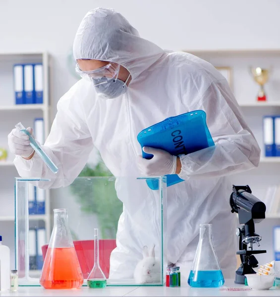 stock image The scientist doing animal experiment in lab with rabbit