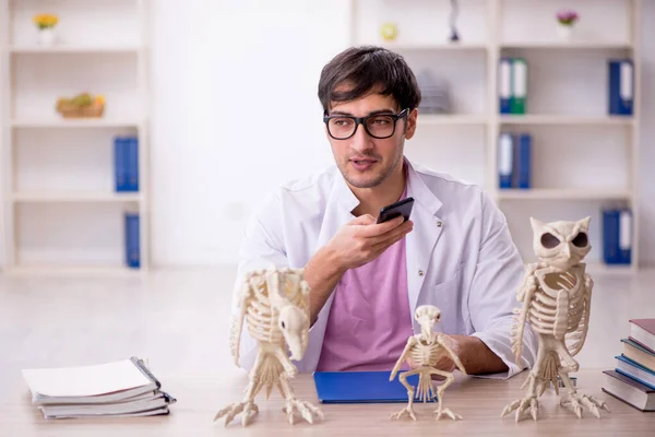 Jeune Paléontologue Examinant Des Animaux Anciens Laboratoire — Photo