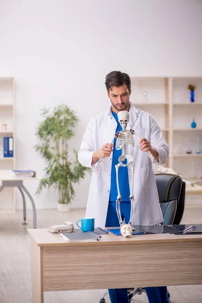 Young Male Doctor Studying Human Skeleton Clinic — Stock Photo, Image