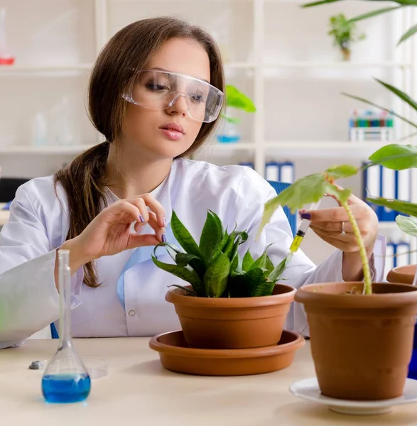 Jeune Belle Chimiste Biotechnologique Travaillant Dans Laboratoire — Photo