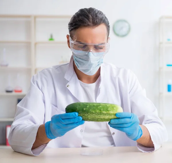 Эксперт Мужскому Питанию Тестирует Овощи Лаборатории — стоковое фото