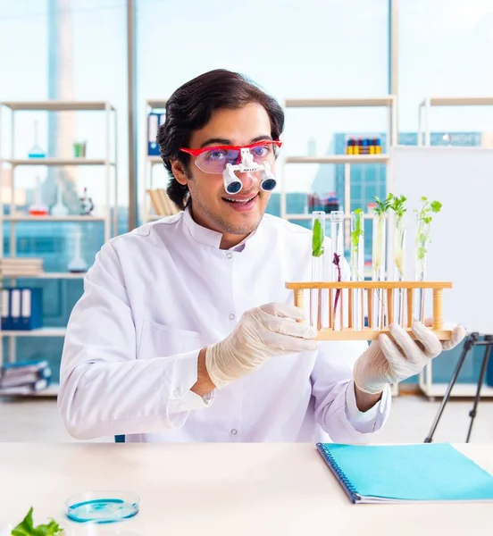 Male Biotechnology Scientist Chemist Working Lab — Stock Photo, Image