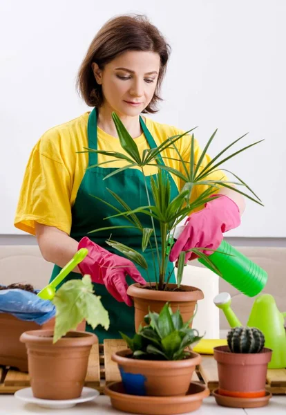 Die Gärtnerin Mit Pflanzen Haus — Stockfoto