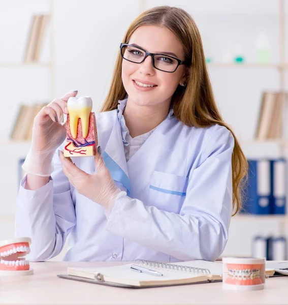 Estudante Odontologia Praticando Habilidades Sala Aula — Fotografia de Stock